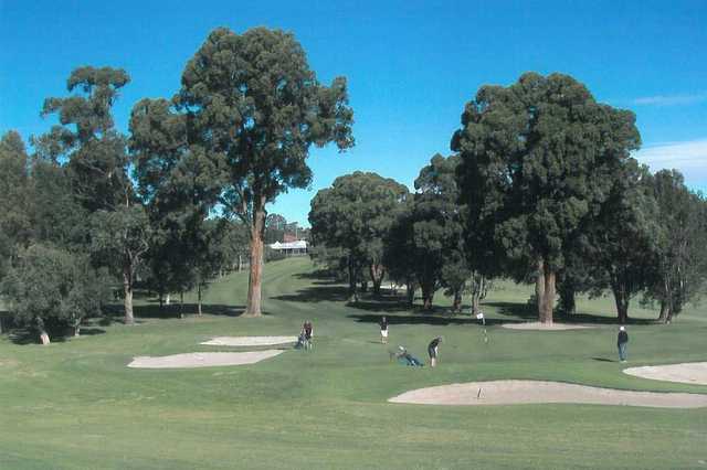 View from North Ryde Golf Club
