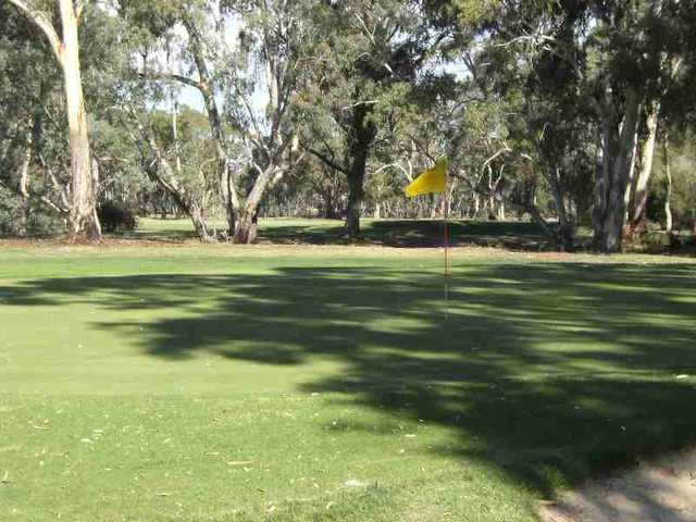 A view of green #17 at Bendigo Golf Club