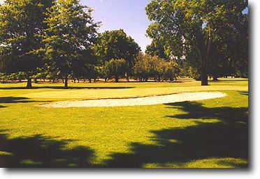 Course Image