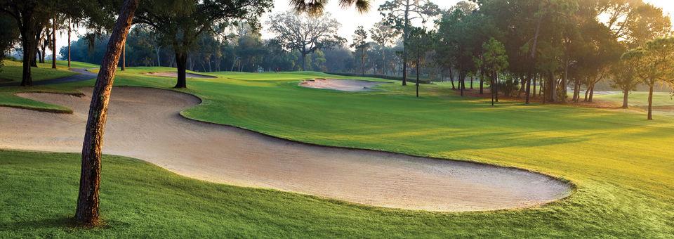 Innisbrook Resort & Golf Club - Copperhead Course