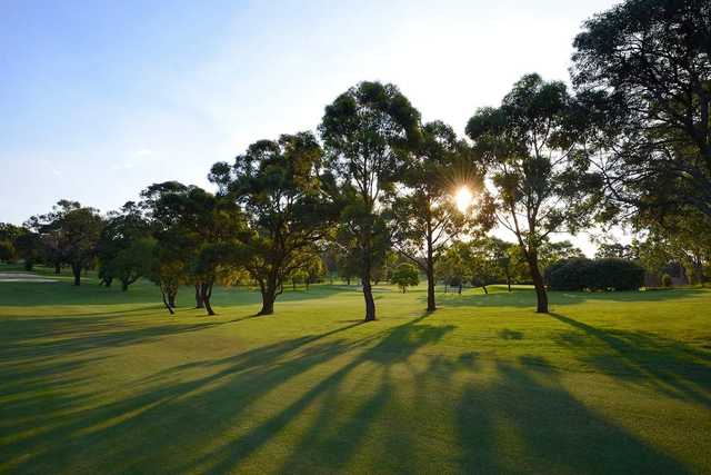 View from North Ryde Golf Club