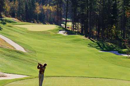 Course Image