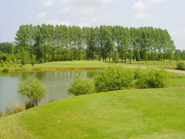 Course Image