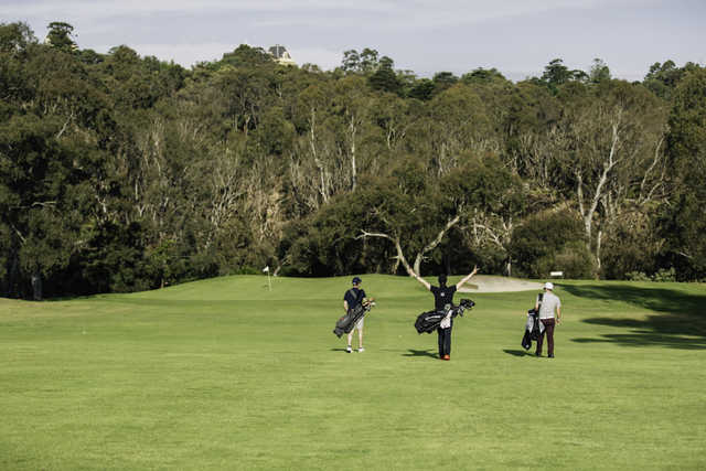 A view from Yarra Bend Golf Course