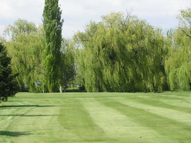 A view of the 16th green at Lakeside Golf Course
