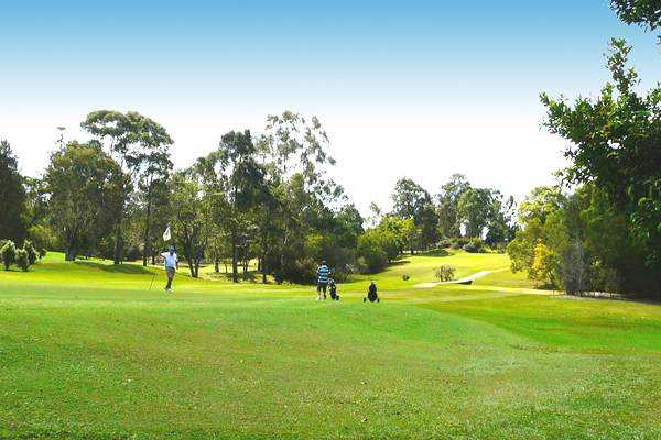 View from Cooroy Golf Club