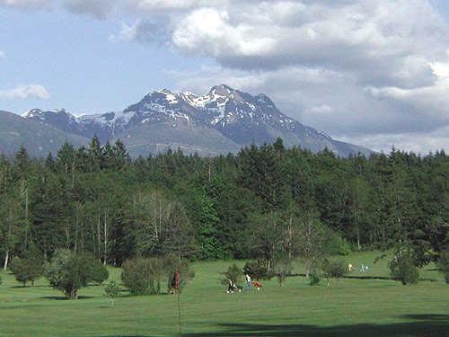 The Hollies Executive Golf Course