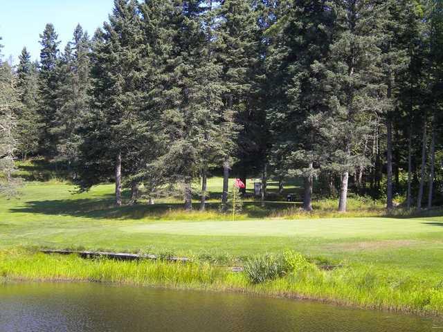 Moose River Golf Course