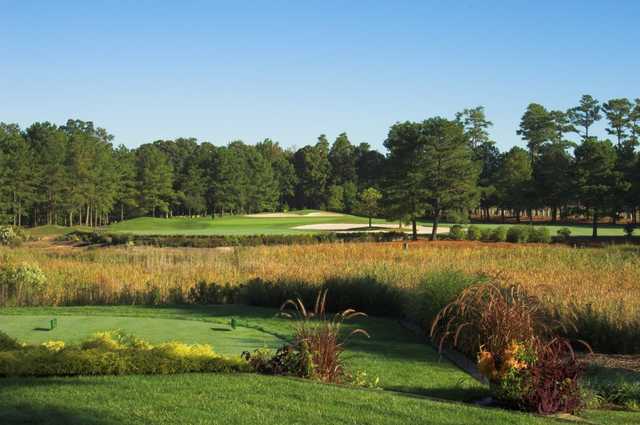 A view over freshwater wetlands from 200 yards of hole #6 at Baywood Greens