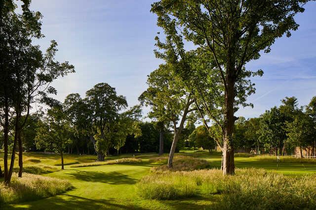 A view from The Copse at Goodwood Golf Club.