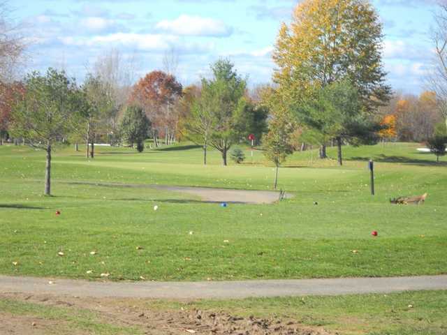 Course Image