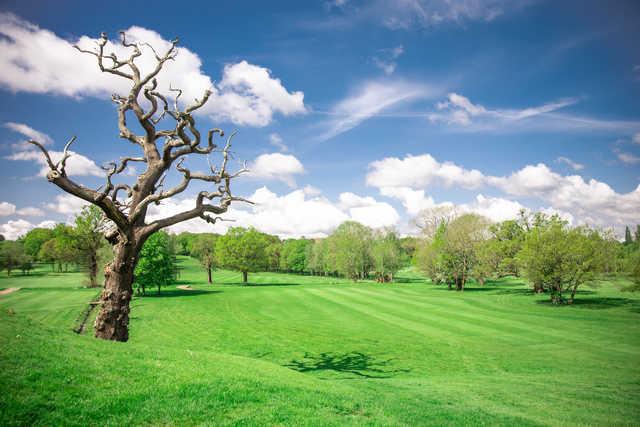 View from a fairway at Enfield Golf Club.