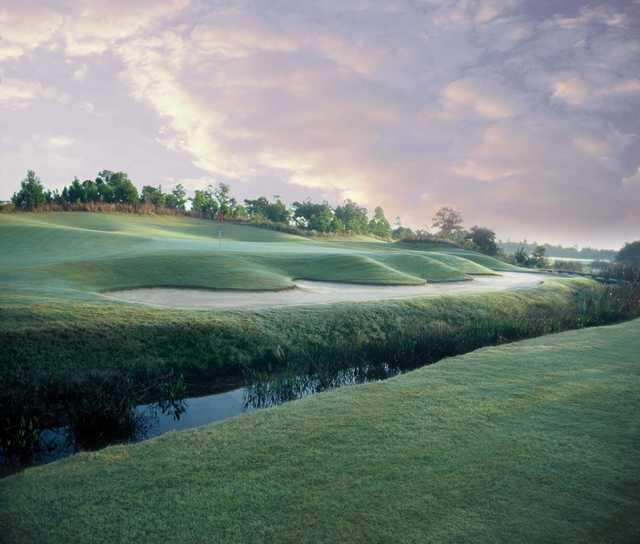 Barefoot Resort - Love