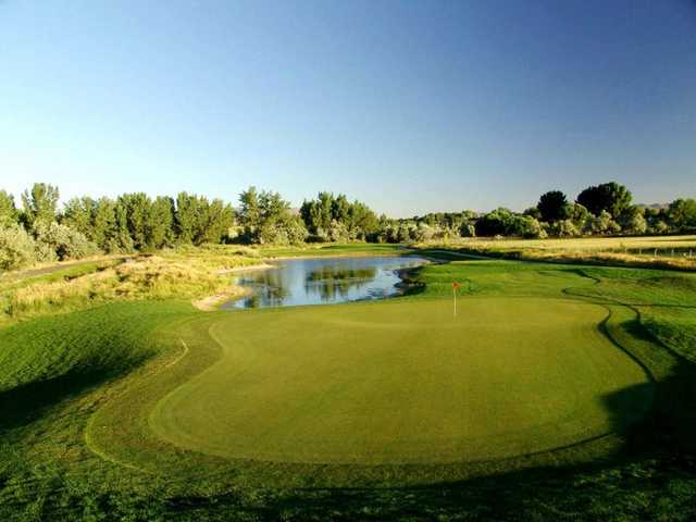 A view of an undulating green at River Oaks Golf Course