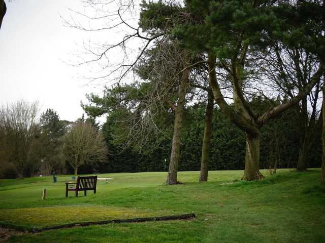 Course Image