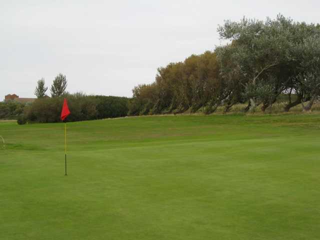 Course Image