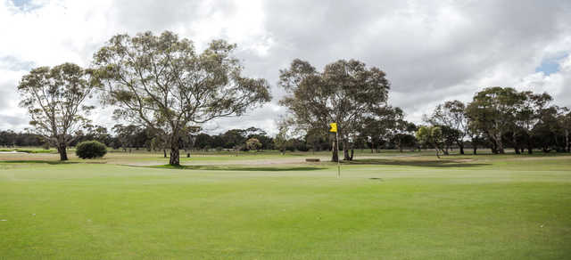 A view of a green with scattered trees in background at Barwon Valley Golf Club.