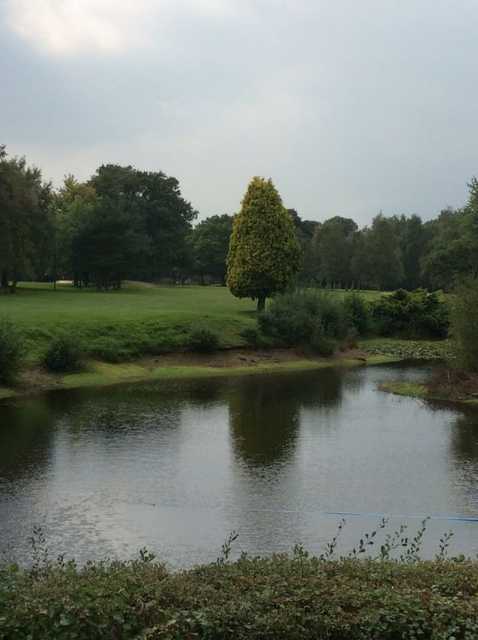 One of the many water hazards at Effingham Park