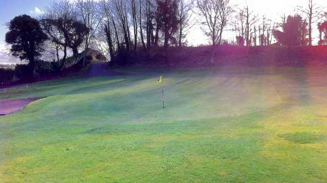 A view of green #16 at Nenagh Golf Club