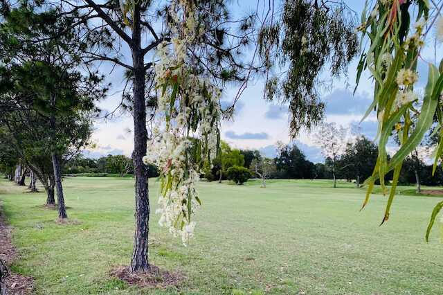View of the 2nd fairway at Sandgate Golf Club.