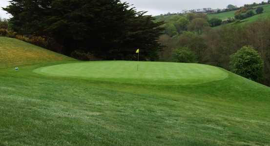 A view of the 6th green at Muskerry Golf Club