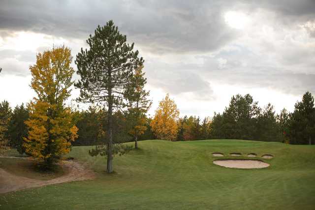 Course Image