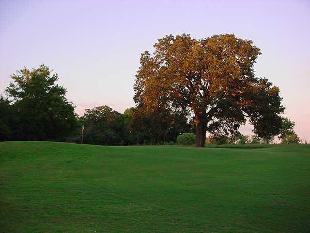 Course Image