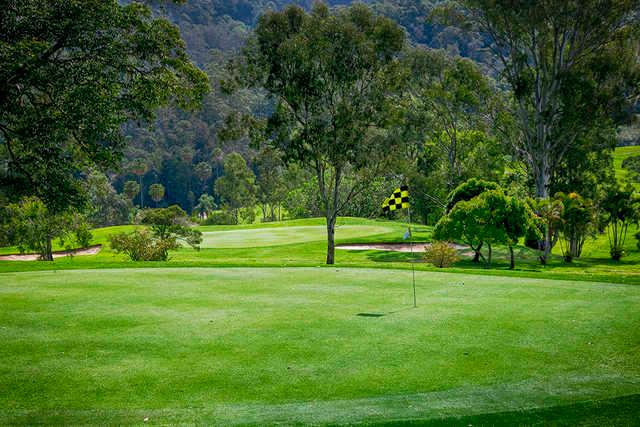 View from a green at Nambour Golf Club