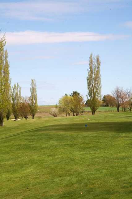 Course Image