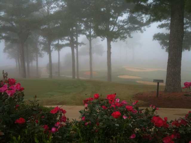 Misty view from The Links At Tuscaloosa