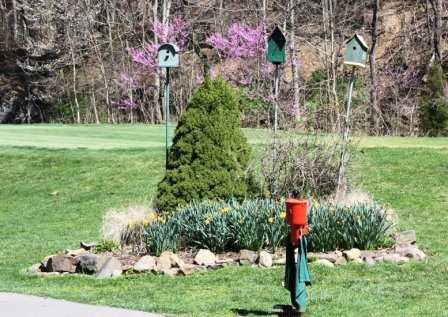 Brunswick Country Club