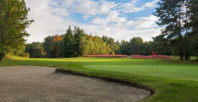 A view of the 2nd green at Championship Course from Tilgate Forest Golf Club