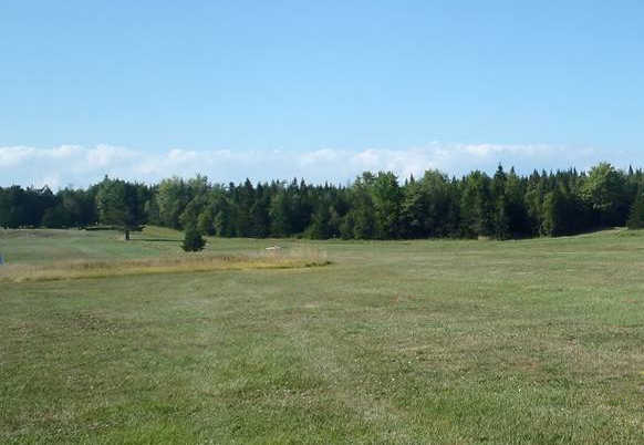 Great Cove Golf Course