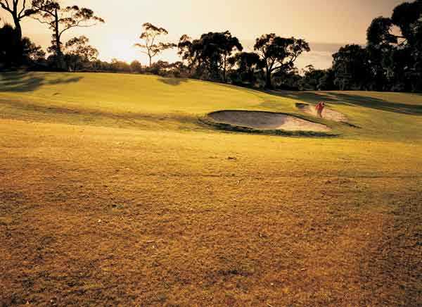 Course Image