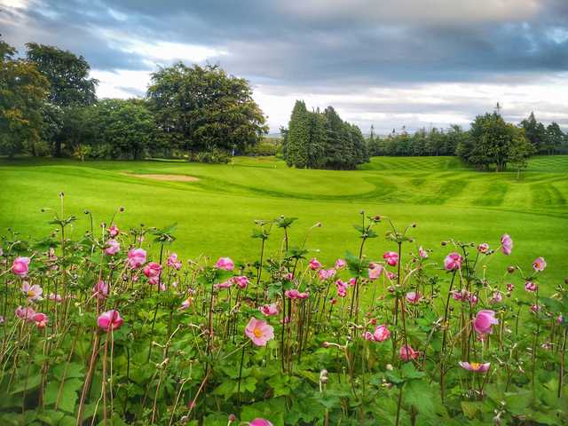 Naas Golf Club