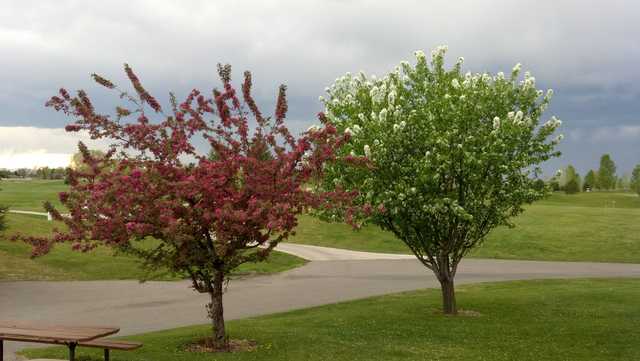 A spring view from Yegen Golf Club