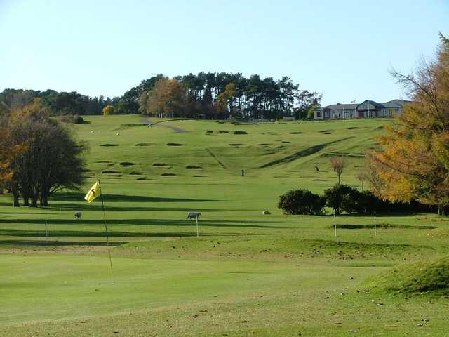Course Image