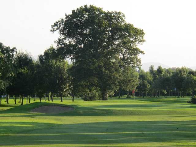 A view of a green protected by bunker at Slievenamon Golf Club