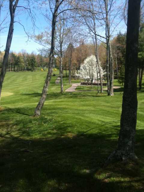 Tall Pines Players Club