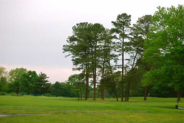 Course Image