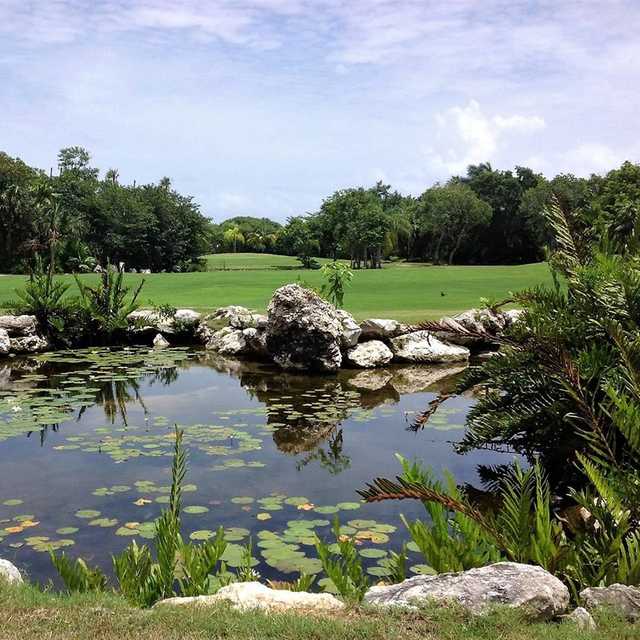 A view from Puerto Aventuras Golf & Racquet Club.