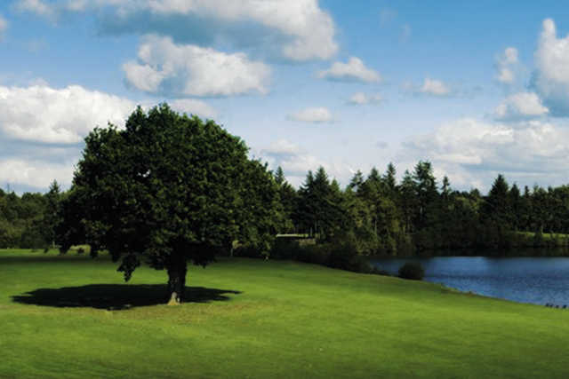 Course Image