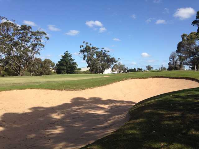 A view from Geelong Golf Club.