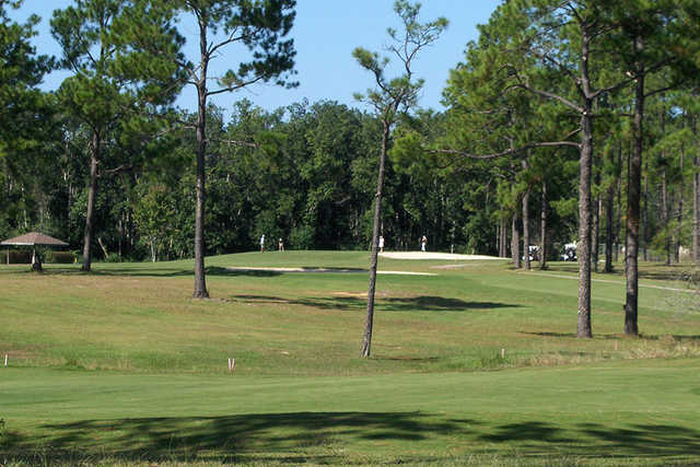 Course Image