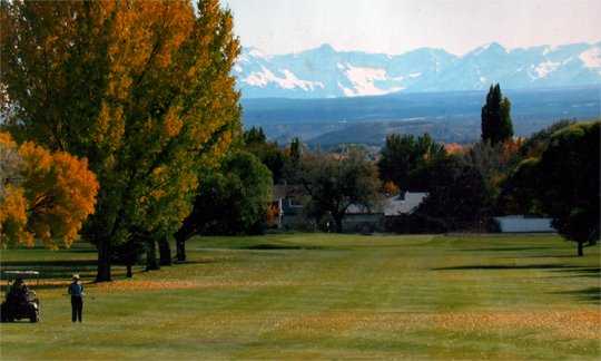 Course Image