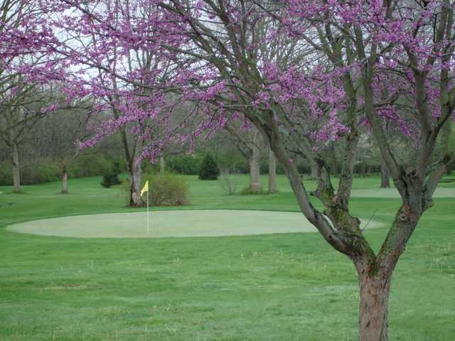 A view of a green at Logan's Run Family Golf Center