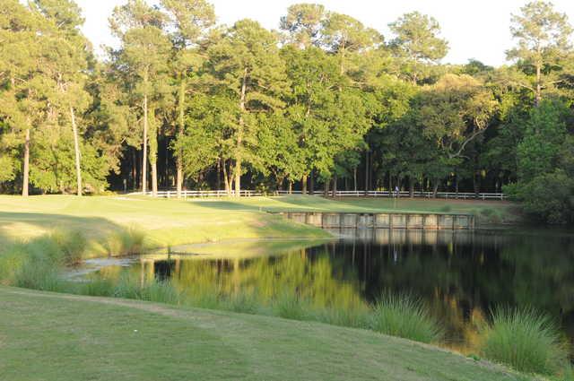 Palmetto Hall Plantation Club - Robert Cupp Course