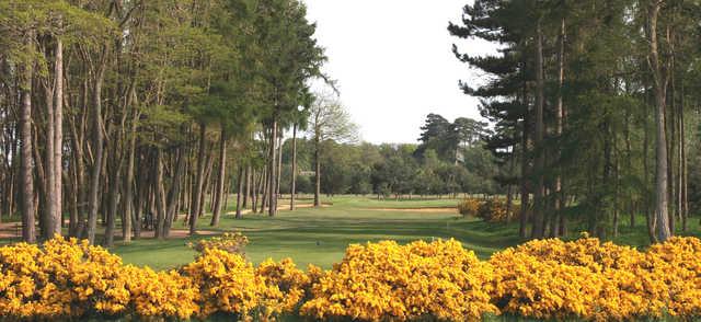 View from the 13th tee from the Blue Course at Frilford Heath Golf Club