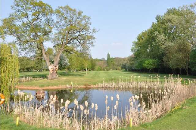 The 6th hole water hazard