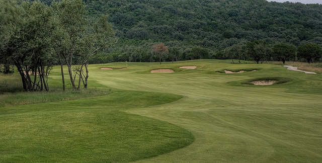 Course Image